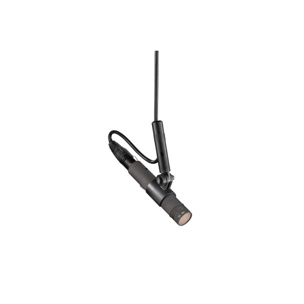 KK_133_+_KM_Ax1_desktop_MNV21mt-KM184Anx-1_Neumann_G