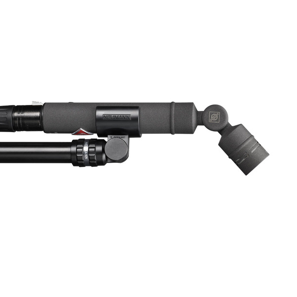KK_133_+_KM_Ax1_desktop_SG110nx-KMAnx-KK184nx-SG21bk-Pole-1_Neumann_G