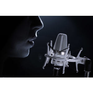 TLM_102_White_Editionx1_desktop_TLM-102-White-Edition-Macro2_Neumann-Studio-Microphone_G