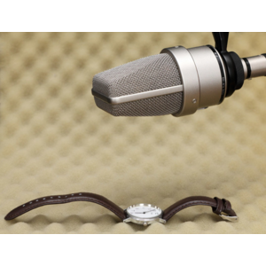 Neumann studio microphone TLM 103