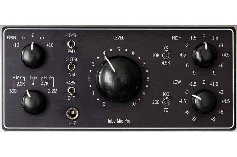 The basic features of a preamp: mic, line and instrument inputs (switchable), gain control, and switches for phantom power, phase reverse and low cut.
