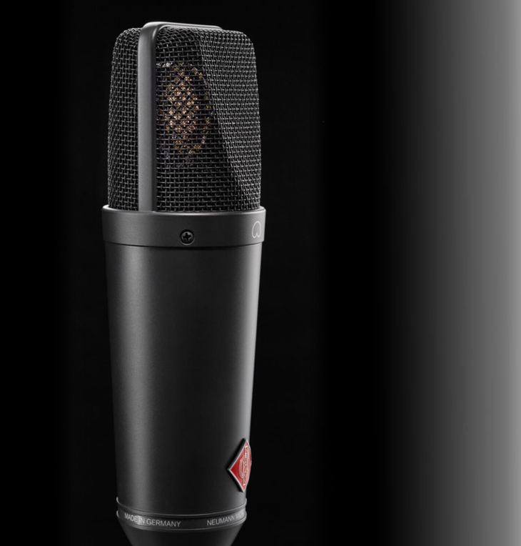 TLM-193-Macro-1_Neumann-Studio-Microphone_G