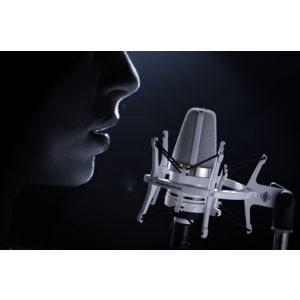 TLM-102-White-Edition-Macro2_Neumann-Studio-Microphone_G